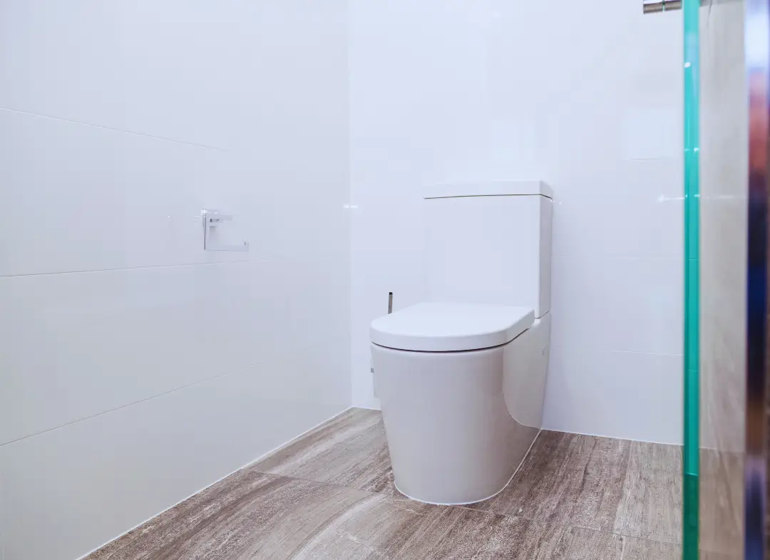 Remplacement de wc Sautron