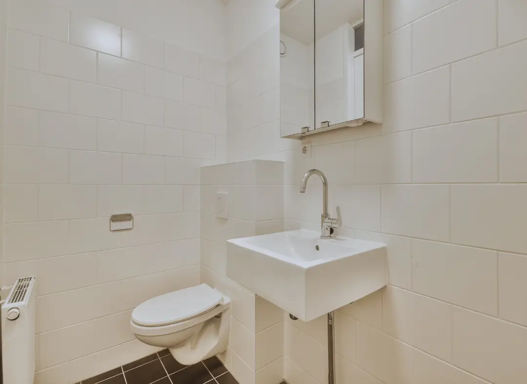 Pose WC Suspendu Sautron